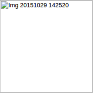 Broken Image