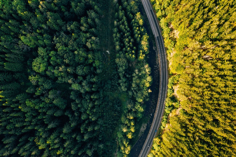 Overhead view of a winding road next to a green forest