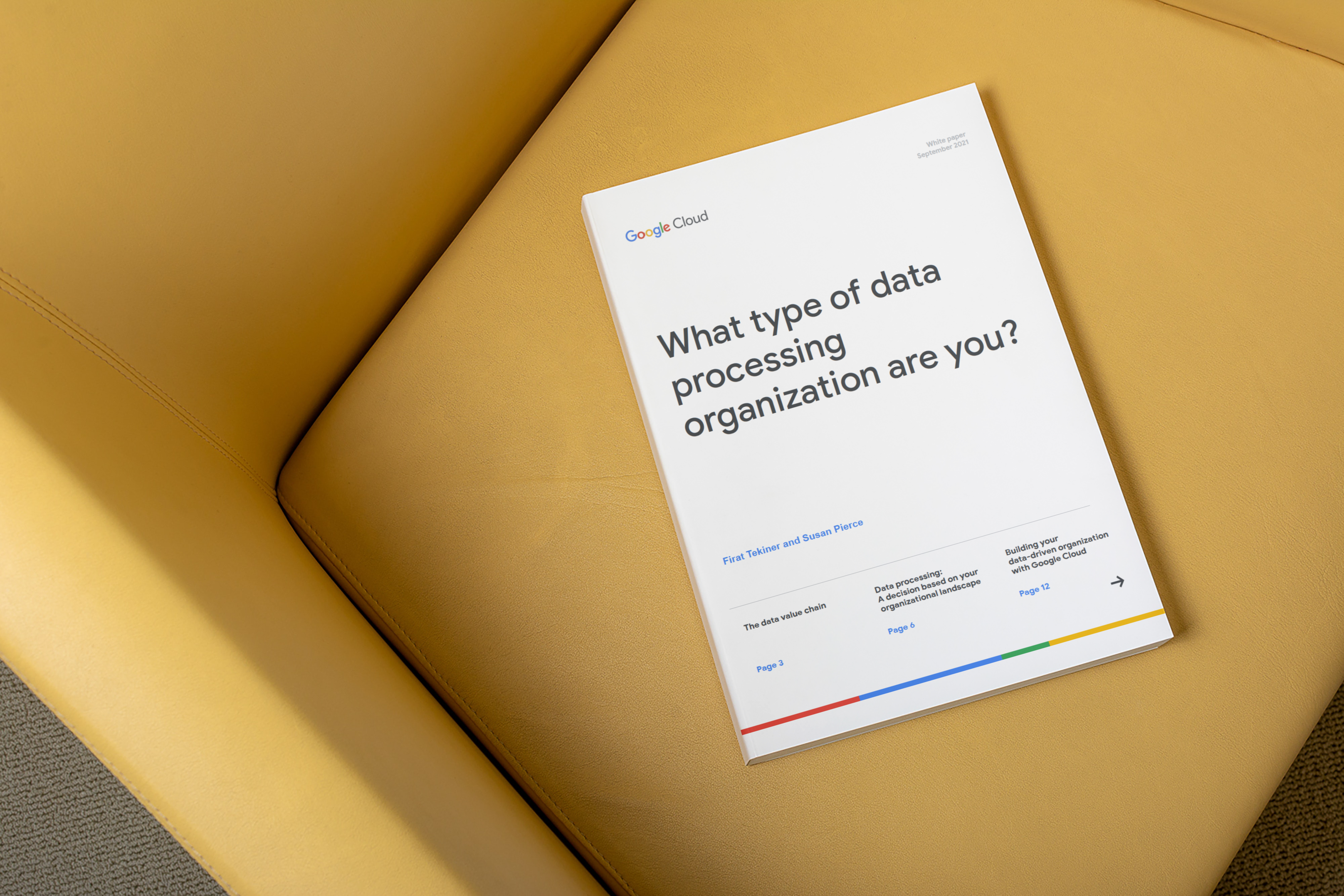 A book on a yellow chair is titled What type of data processing organization are you?