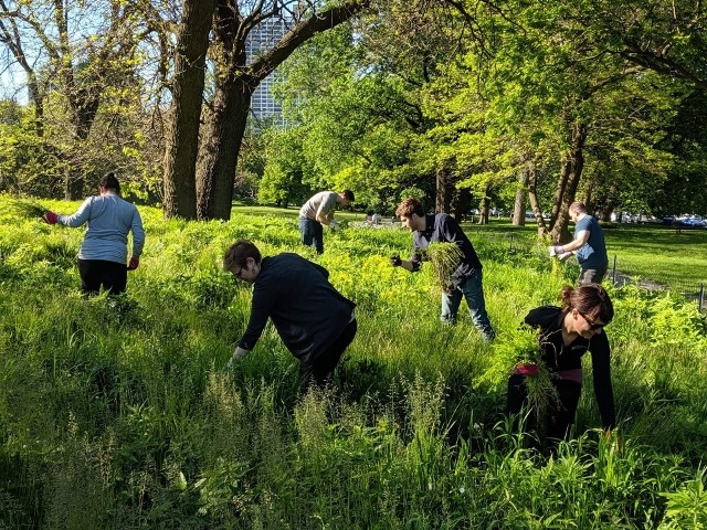 PE Cares event at Lincoln Park Conservancy